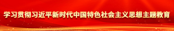 日本老屄性导航学习贯彻习近平新时代中国特色社会主义思想主题教育